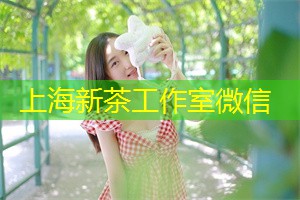 上海国的可再生能源潜力与环境保护